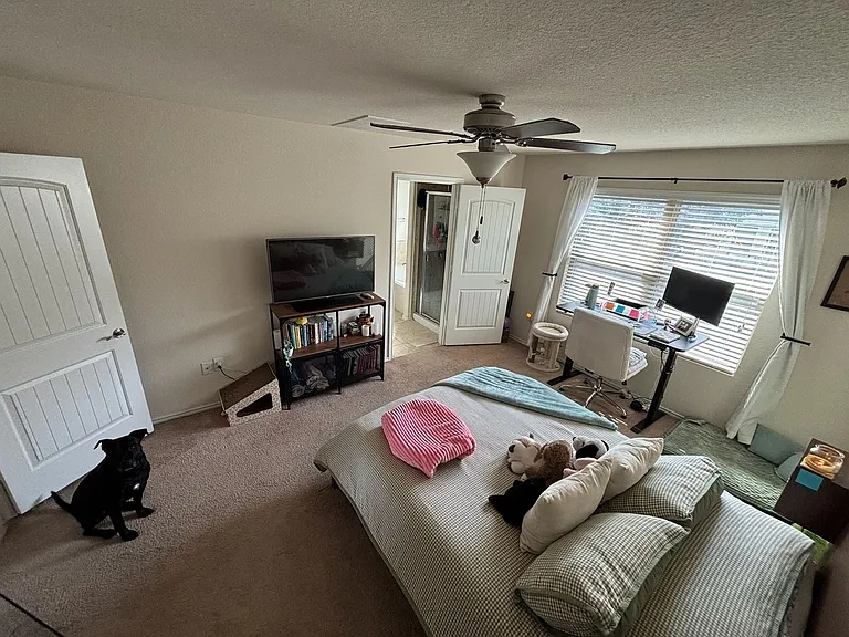 3509 Black Granite Dr — Photo 18
