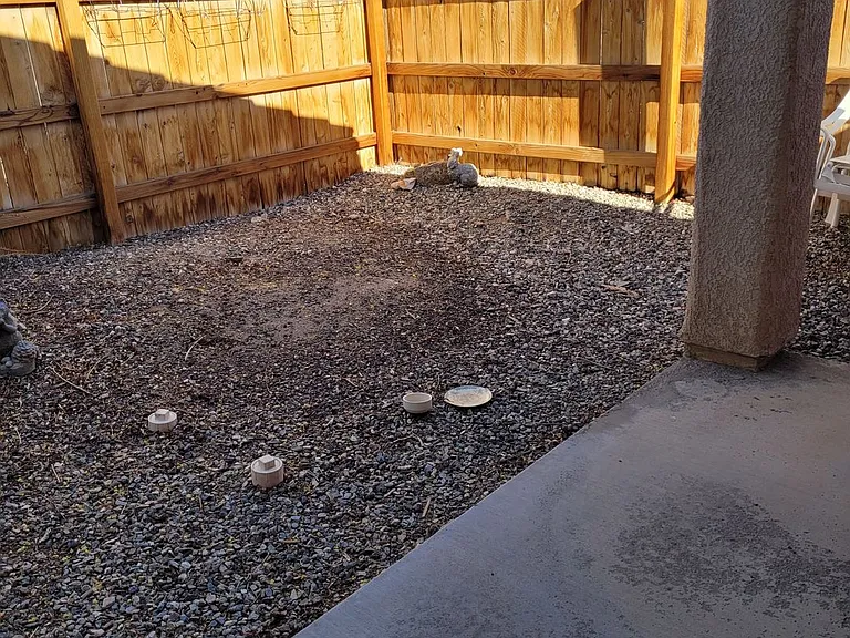 3560 Lost Dutchman Dr #1 — Photo 12