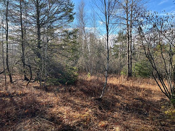 3rd image of 181 Gray Meadow Road