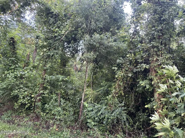Bienville Rd, Ville Platte, LA 70586