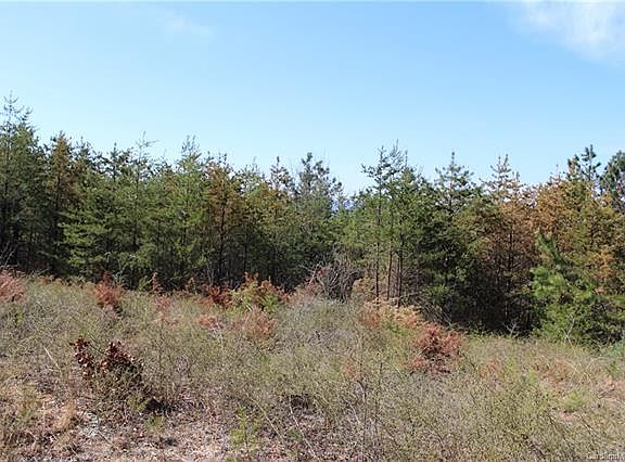 5th image of 3982-11 Skyline Dr