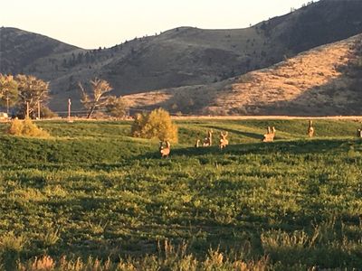 47 Camp Aqua Rd, Hot Springs, MT, 59845