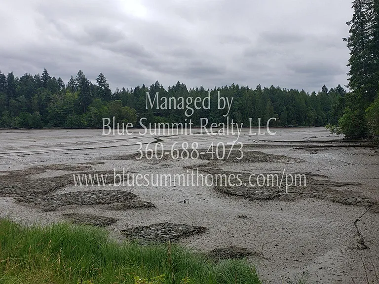 4848 Sleater Kinney Rd NE — Photo 20