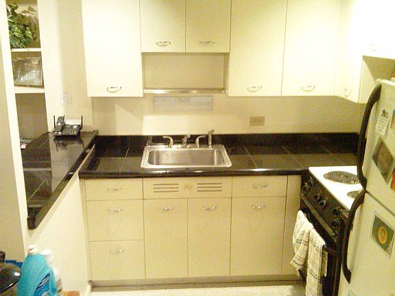 5th image of 1460 N Sandburg Ter APT 2808