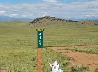 4187 Uintah Trl, Hartsel, CO 80449