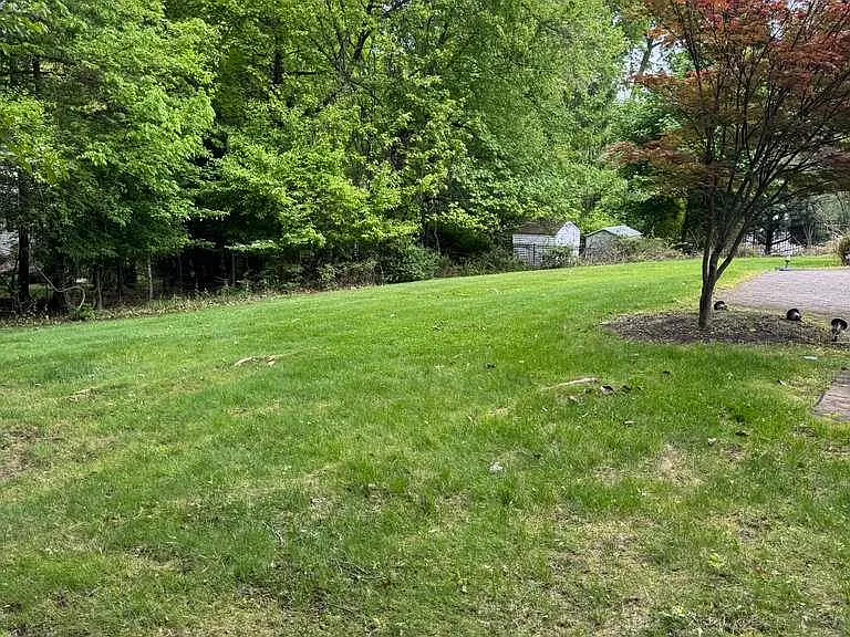 24 Beaumont Dr — Photo 24
