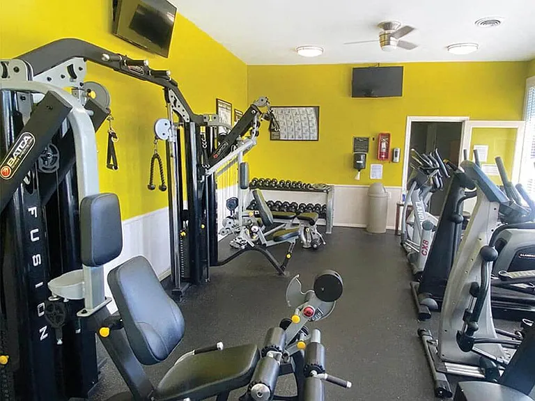 Professional Fitness Equipment