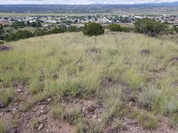 Private Drive St, Milan, NM 87021