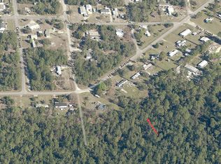 0 Raccoon St, Paisley, FL 32767