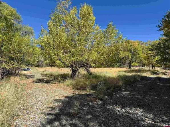 Lots 1 & 2 Price Road, Paonia, CO 81428