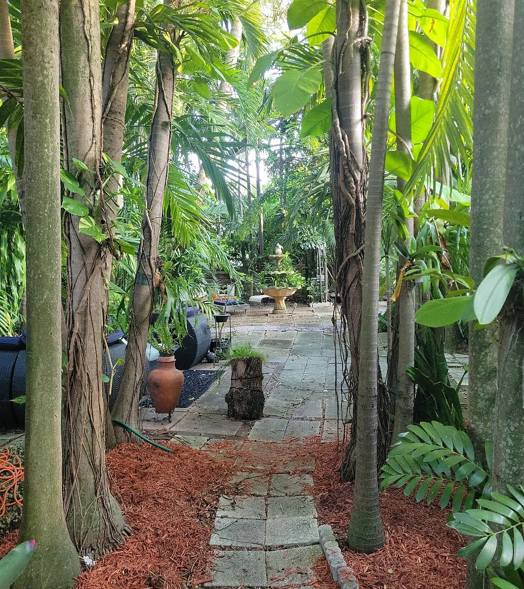 2 bed, 1135 sqft, $900 — Photo 4