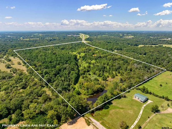 County Road 166, Tyler, TX 75703