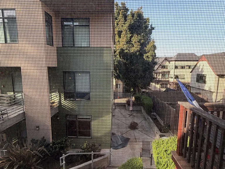 2811-2815 Channing Way #B — Photo 2