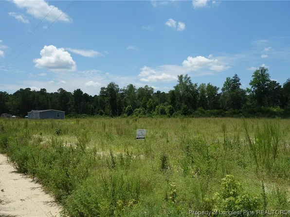 3 Zeb Rd, Fairmont, NC 28340