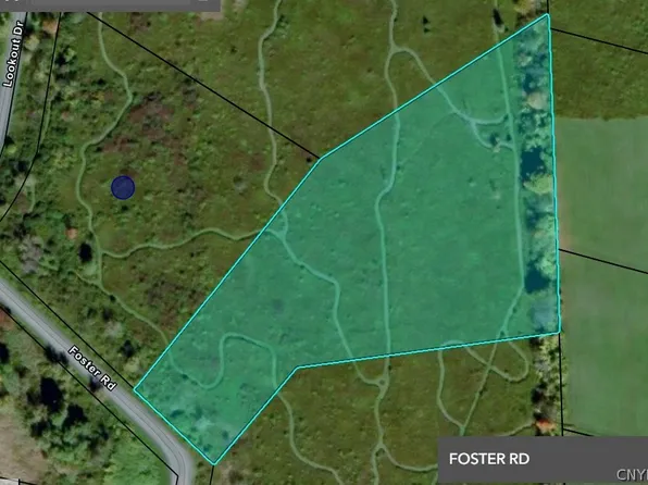 0 Foster Rd Lot 9, Homer, NY 13077