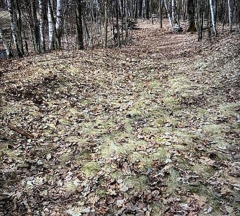4th image of 000 Camp Road