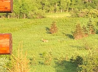 3499 N Weirgor Rd, Radisson, WI 54867