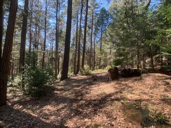 11754 Winter Moon Way, Nevada City, CA 95959