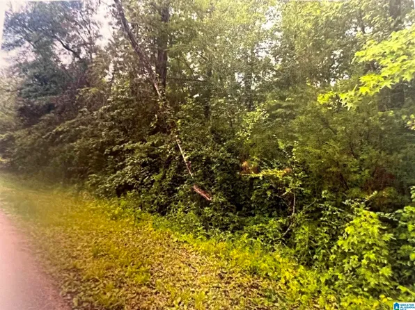 11-12 19th St, Calera, AL 35040