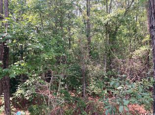 Williams Hill Rd, Hemingway, SC 29554