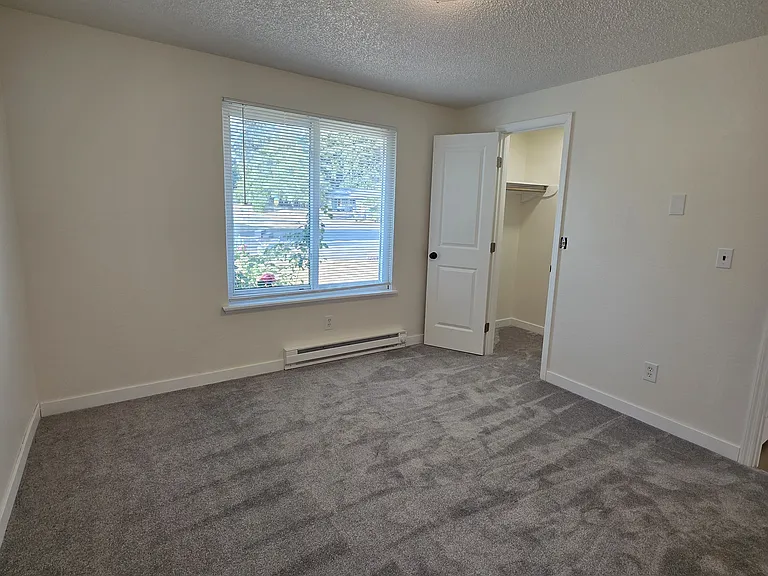 Brand new carpet for comfort