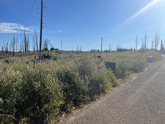 5th image of Grizzly Flat Rd