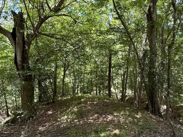 7735 Old Tunica Rd, Saint Francisville, LA 70775