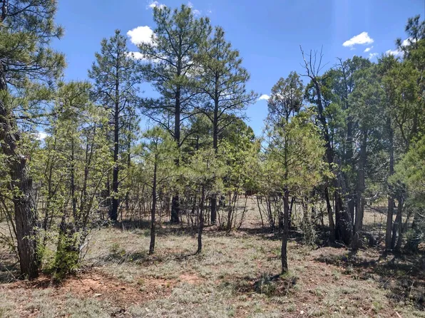 4375 Lariat Way, Happy Jack, AZ 86024