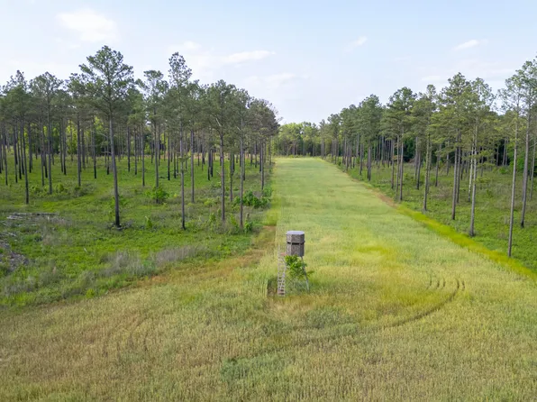 Rice Rd, Crawford, MS 39743