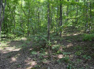 0 Paddle Creek Rd, Fort Gay, WV 25514
