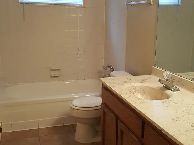 Hall bathroom