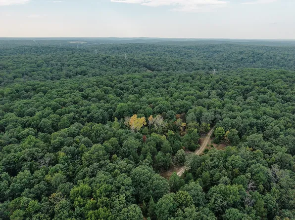 0 Delbridge Rd, Potosi, MO 63664