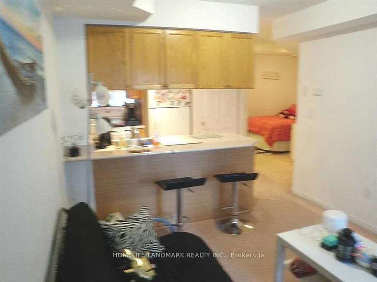 909 Bay St #317 — Photo 10