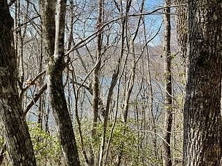 2nd image of LOT 2 Mountain Morningstar