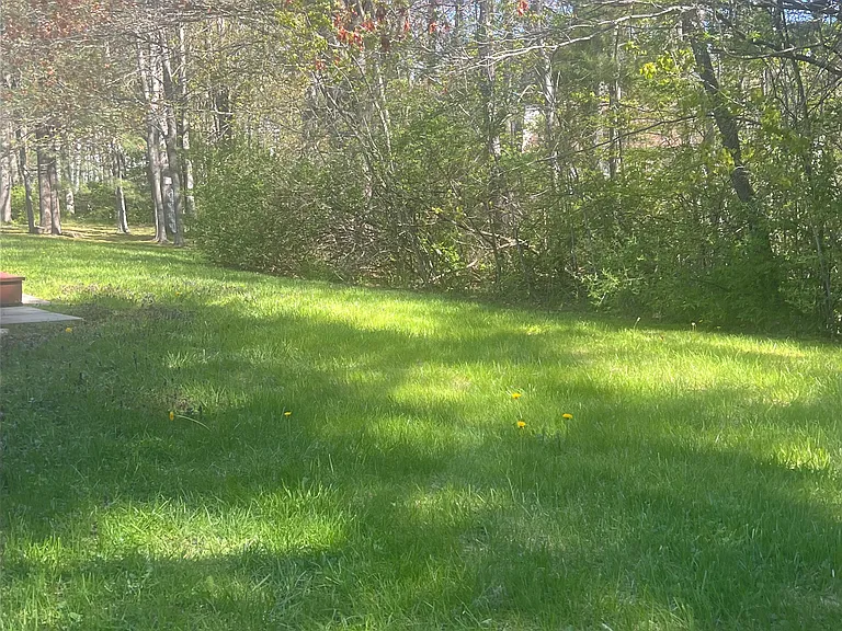 48 Garfield St #5 — Photo 31