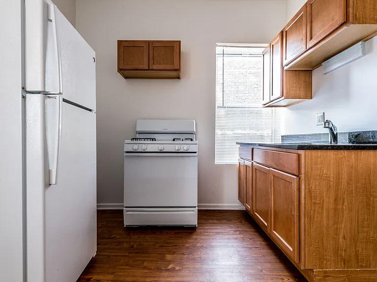 4820 S Michigan — Photo 13
