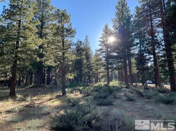 17080 Evergreen St, Reno, NV 89521