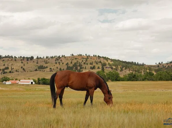 Robinson Rd, Belle Fourche, SD 57717