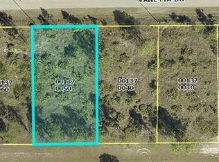 407 Vanetta Dr, Lehigh Acres, FL 33972
