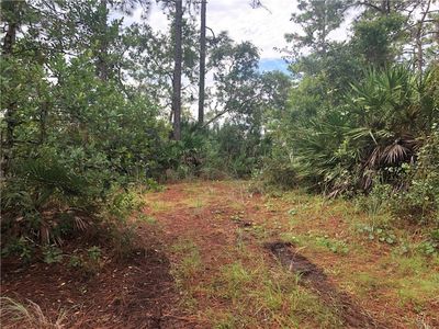 Lincoln Rd, Saint cloud, FL, 34773
