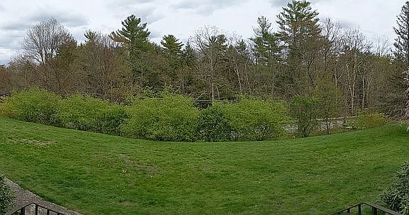 Spring view from front porch