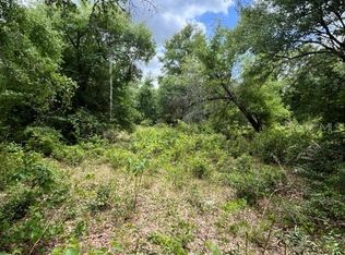 170th Se Avenue Rd, Ocklawaha, FL 32179