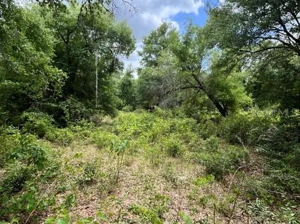 170th Se Avenue Rd, Ocklawaha, FL 32179