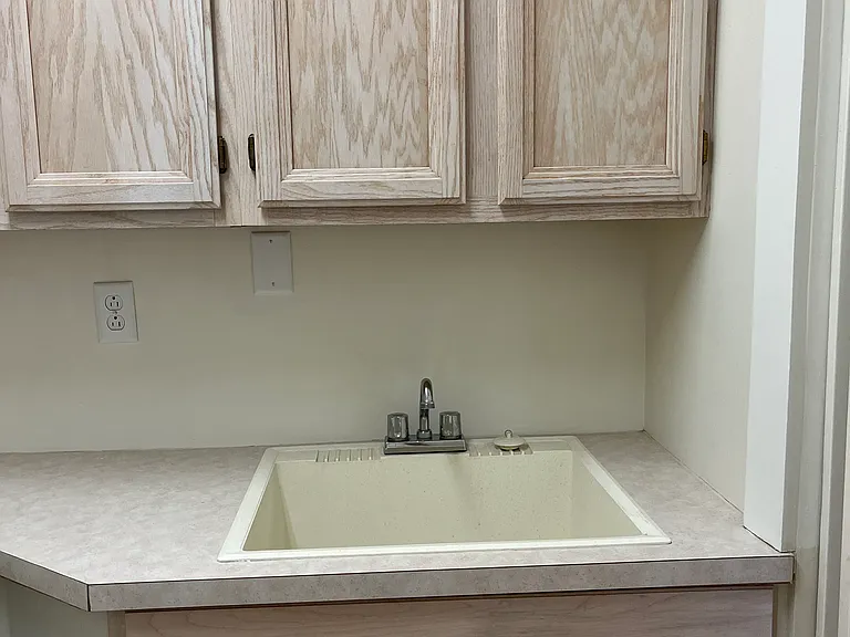 Laundry room sink with above storage includes initial supply of detergent and cleaning products.