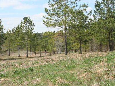 Lot 15 Bucks Pocket Rd, Cleveland, TN, 37323