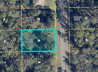 726 Dante Ave S, Lehigh Acres, FL 33974