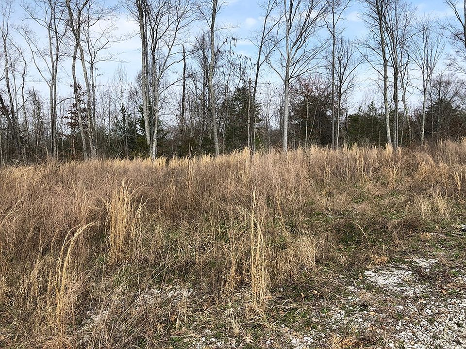 2nd image of 376 Ozone Rd