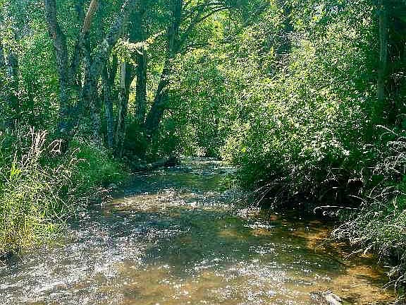 3rd image of Shasta Ranch Rd N