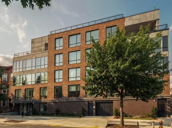 1325 Herkimer Street image 9 of 9