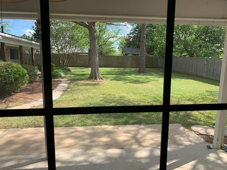 From Living Room looking to back yard